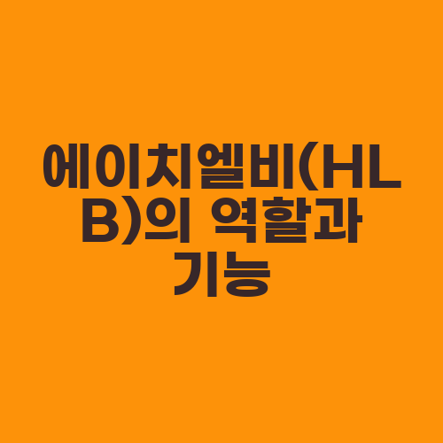 에이치엘비(HLB)의 역할과 기능