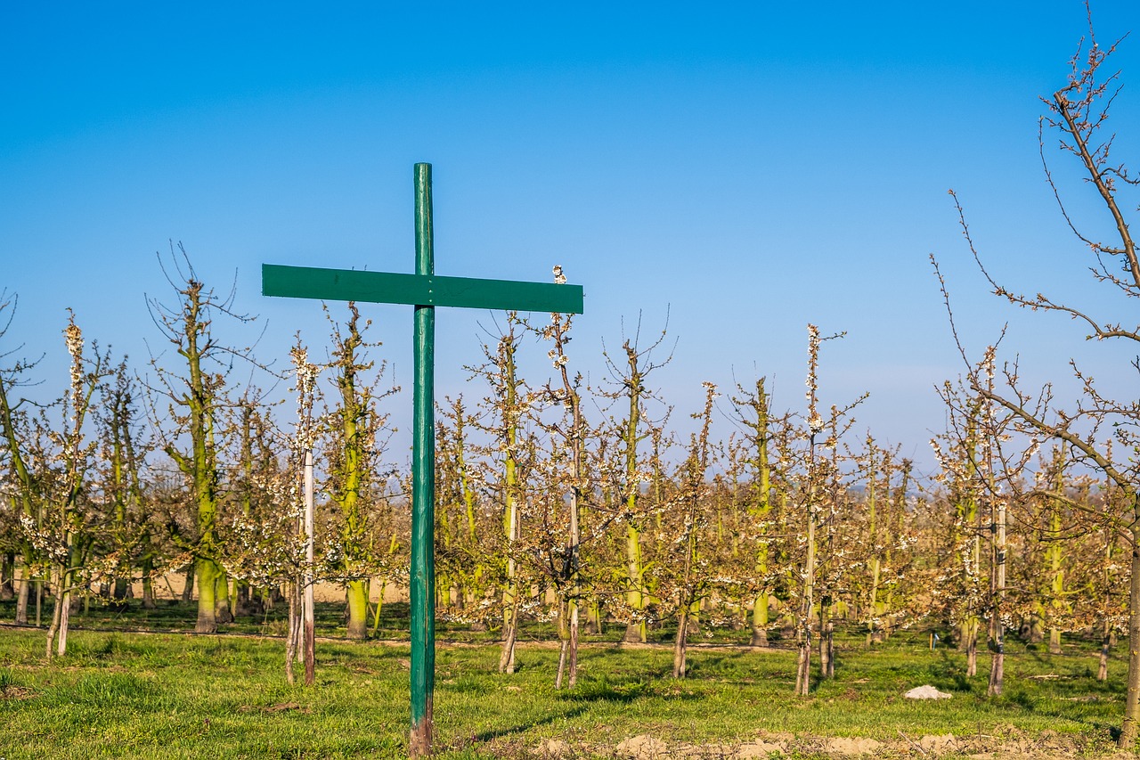 녹십자: 사회적 책임과 봉사의 중요성