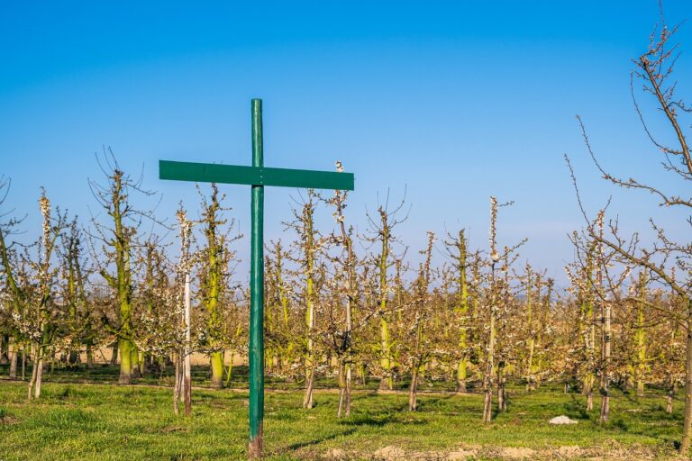 녹십자: 사회적 책임과 봉사의 중요성